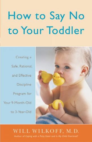 How to Say No to Your Toddlersay 