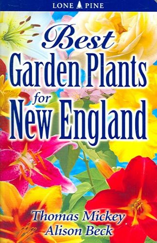 Best Garden Plants for New Englandgarden 