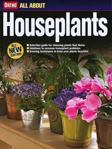 All About Houseplantshouseplants 