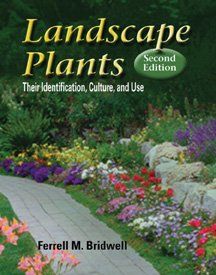 Landscape Plantslandscape 