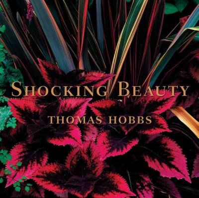 Shocking Beautyshocking 