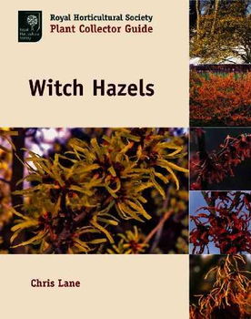 Witch Hazelswitch 
