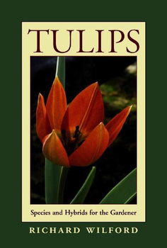 Tulipstulips 