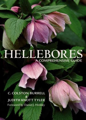 Helleboreshellebores 