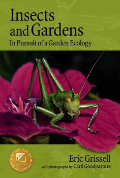 Insects And Gardensinsects 