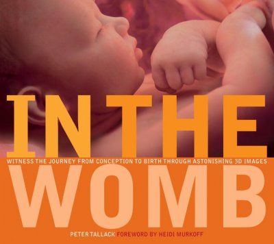 In the Wombwomb 