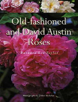 Old-Fashioned and David Austin Rosesfashioned 
