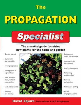 The Propagation Specialistpropagation 