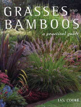 Grasses And Bamboosgrasses 