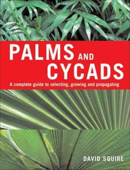 Palms and Cycadspalms 