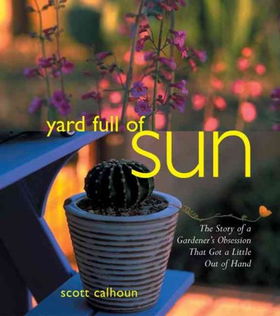 Yard Full Of Sunyard 