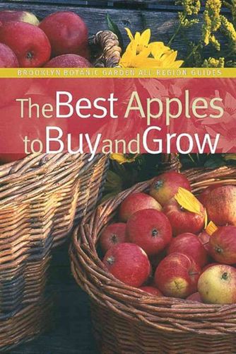 The Best Apples To Buy And Growapples 