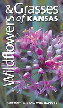 Wildflowers And Grasses Of Kansaswildflowers 
