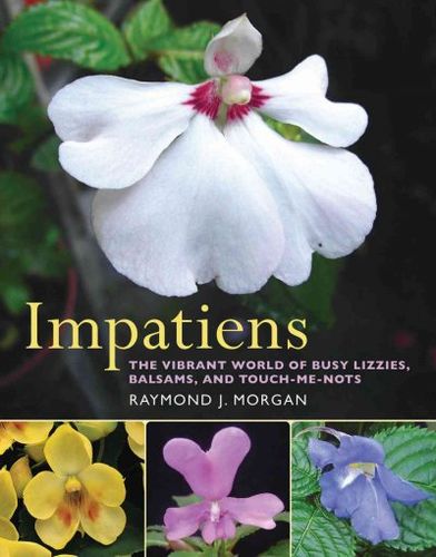 Impatiensimpatiens 