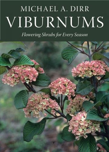 Viburnumsviburnums 