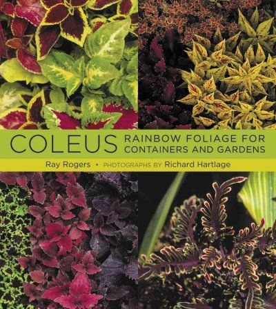 Coleuscoleus 