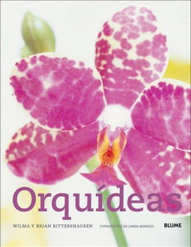 Orquideas/ Orchidsorquideas 