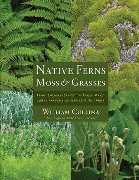 Native Ferns, Moss & Grassesnative 