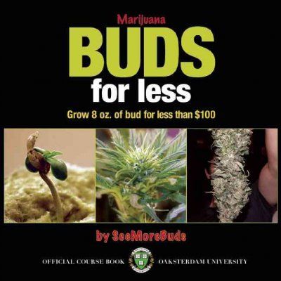Marijuana Buds for Lessmarijuana 