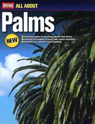 All About Palmspalms 