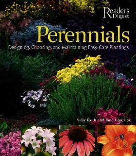 Perennialsperennials 