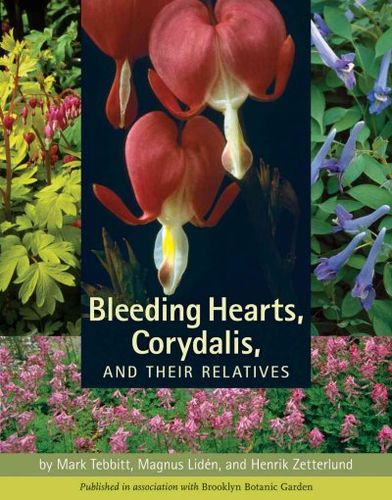 Bleeding Hearts, Corydalis, and Their Relativesbleeding 