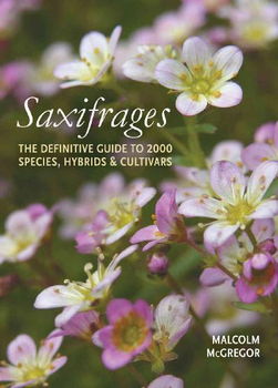 Saxifragessaxifrages 
