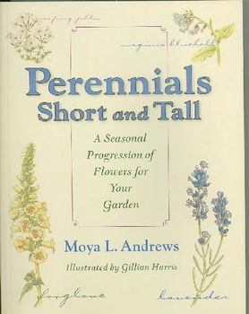Perennials Short and Tallperennials 