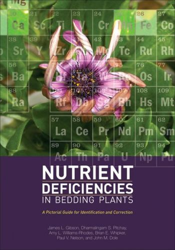 Nutrient Deficiencies in Bedding Plantsnutrient 