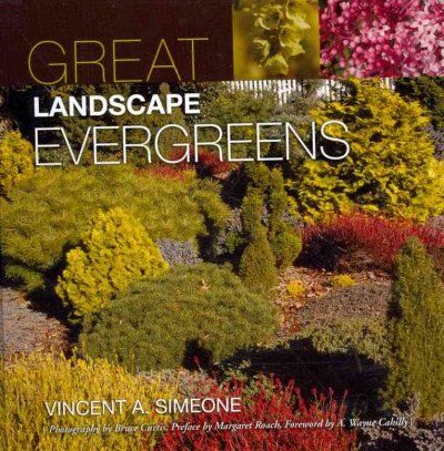 Great Landscape Evergreenslandscape 