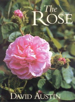 The Roserose 