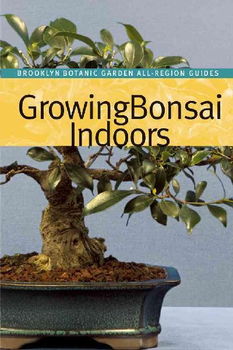 Growing Bonsai Indoorsgrowing 