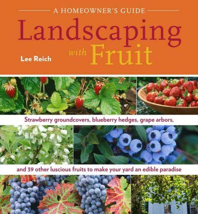 Landscaping With Fruitlandscaping 