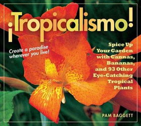 Tropicalismo!tropicalismo 