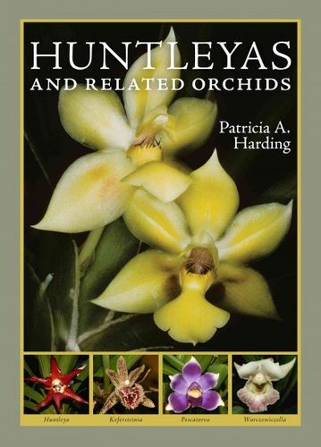 Huntleyas and Related Orchidshuntleyas 