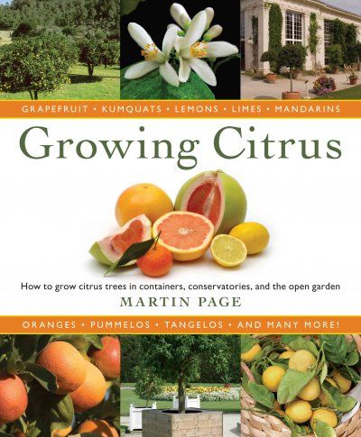 Growing Citrusgrowing 