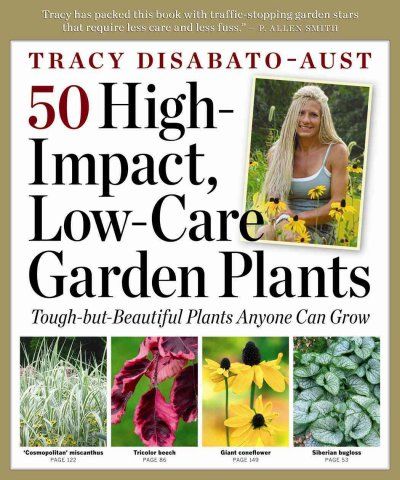 50 High-Impact Low-Care Garden Plantshigh 