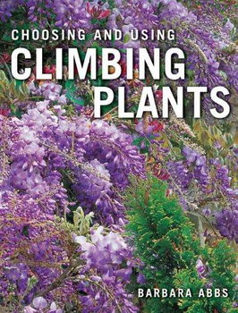 Choosing and Using Climbing Plantschoosing 