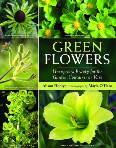 Green Flowersgreen 