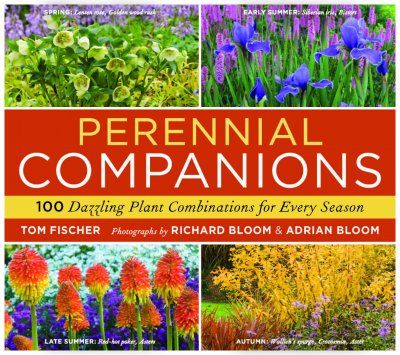 Perennial Companionsperennial 