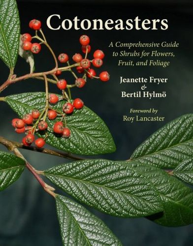 Cotoneasterscotoneasters 