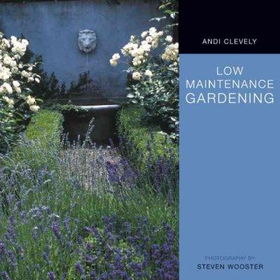 Low Maintenance Gardenlow 
