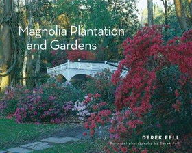 Magnolia Plantation and Gardensmagnolia 