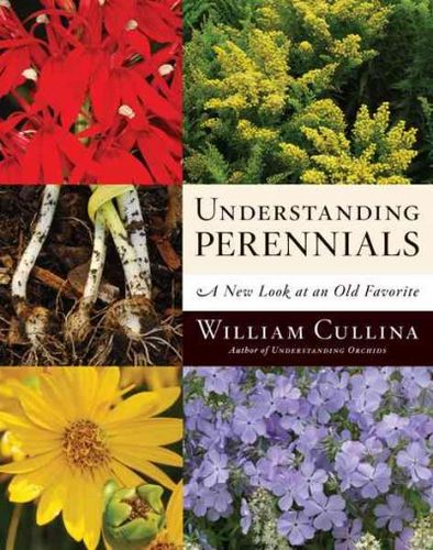 Understanding Perennialsunderstanding 