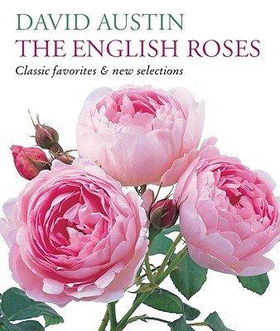 The English Rosesenglish 