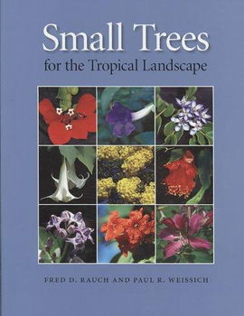 Small Trees for the Tropical Landscapesmall 