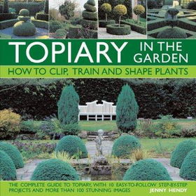Topiary in the Gardentopiary 