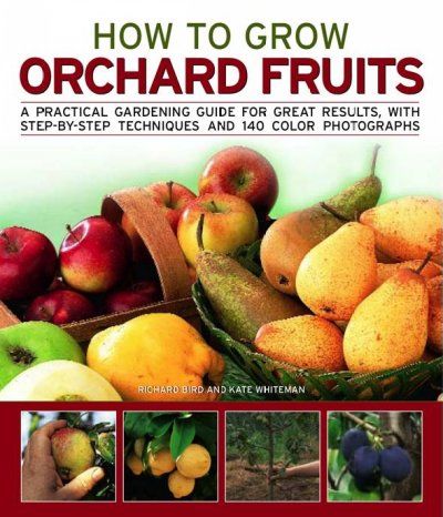 How to Grow Orchard Fruitgrow 