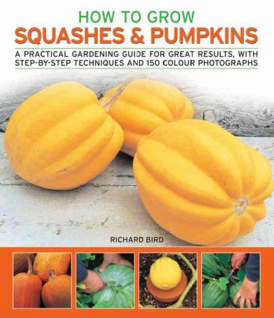 How to Grow Squashes & Pumpkinsgrow 