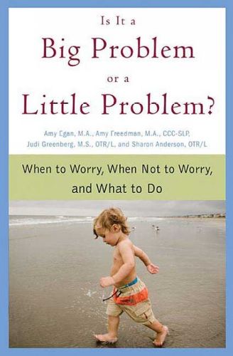 Is It a Big Problem or a Little Problem?big 